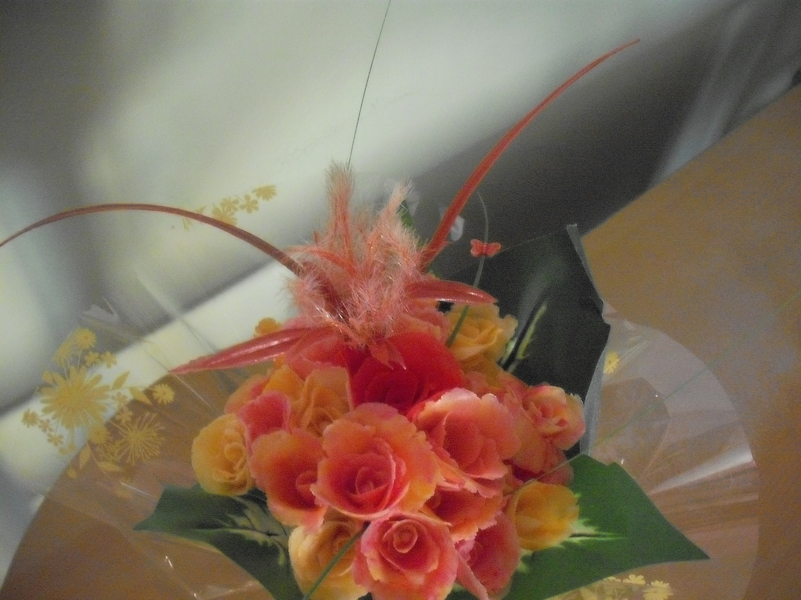 DSCF7021